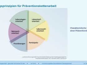 Darstellung charakteristischer Merkmale einer Präventionskette im Tortendiagramm.